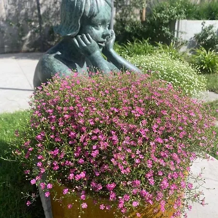 Navy Отель типа 