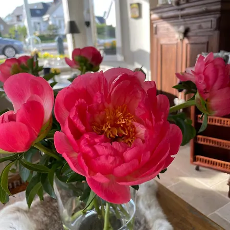 Navy Отель типа 