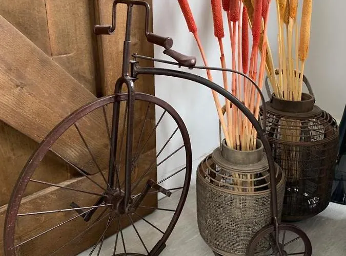 Navy فندق مبيت وإفطار كوكسيجدي