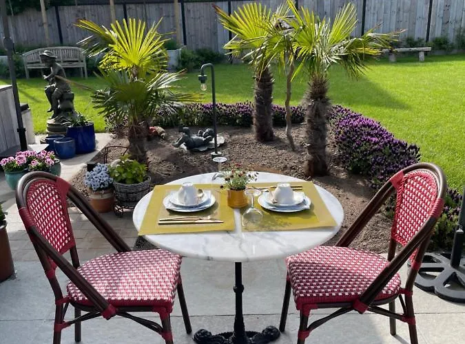 Navy B&B 코크시데