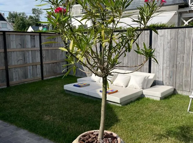 B&B Navy 코크시데