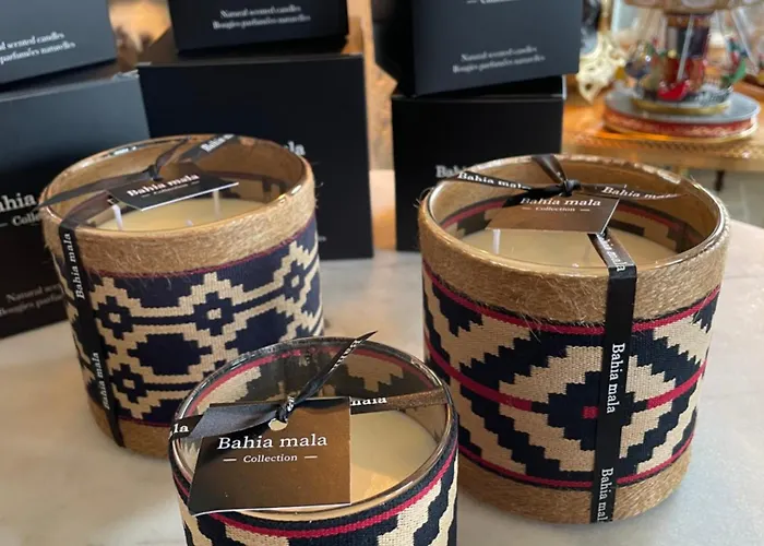 Navy B&B 코크시데