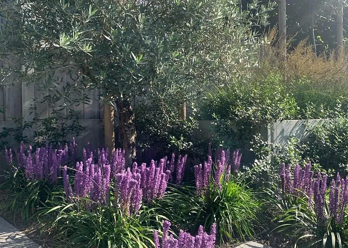 فندق مبيت وإفطار Navy 3*